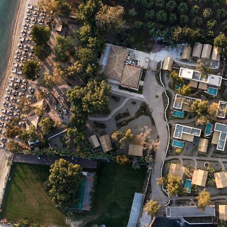 Ergon Beach House Nikiti 外观 照片